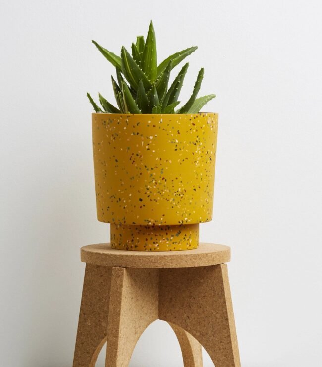 ⁦Cork Plant Stand⁩ - الصورة ⁦2⁩