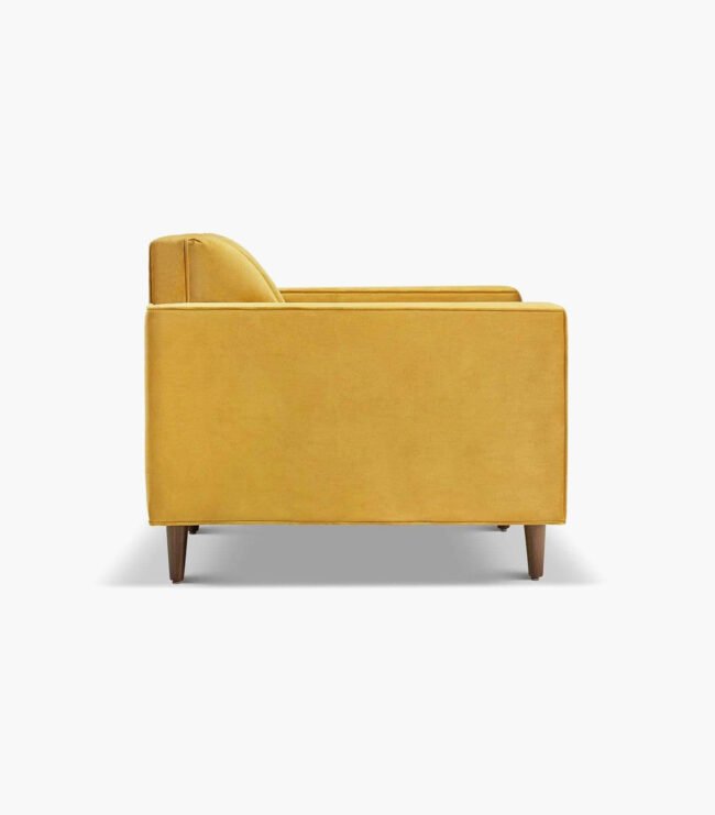 ⁦Delphine Cane Velvet Accent Chair⁩ - الصورة ⁦3⁩