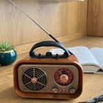 Portable Multimedia Radio Speaker