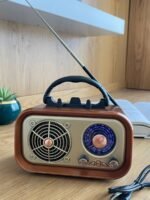 Portable Multimedia Radio Speaker