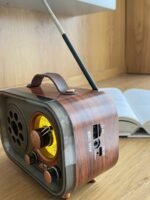 Portable Radio Speaker - Image 3