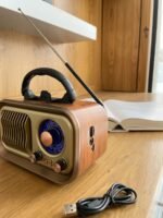 Portable Multimedia Radio Speaker - Image 3