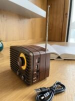 Portable Radio Speaker with High-Sensitivity Antenna - Image 2