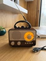 Portable Multimedia Radio Speaker