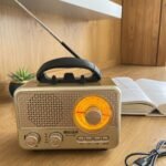 Portable Multimedia Radio Speaker