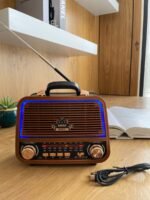 Portable Multimedia Radio Speaker