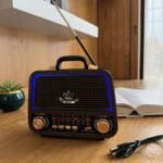 Portable Multimedia Radio Speaker