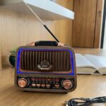 Portable Multimedia Radio Speaker
