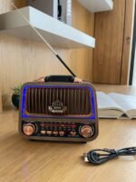 Portable Multimedia Radio Speaker