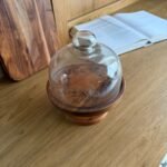 مضيفة خشبية مع غطاء زجاجي