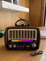 Multi-Function Radio Speaker