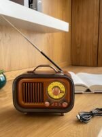Portable Classic Radio Speaker